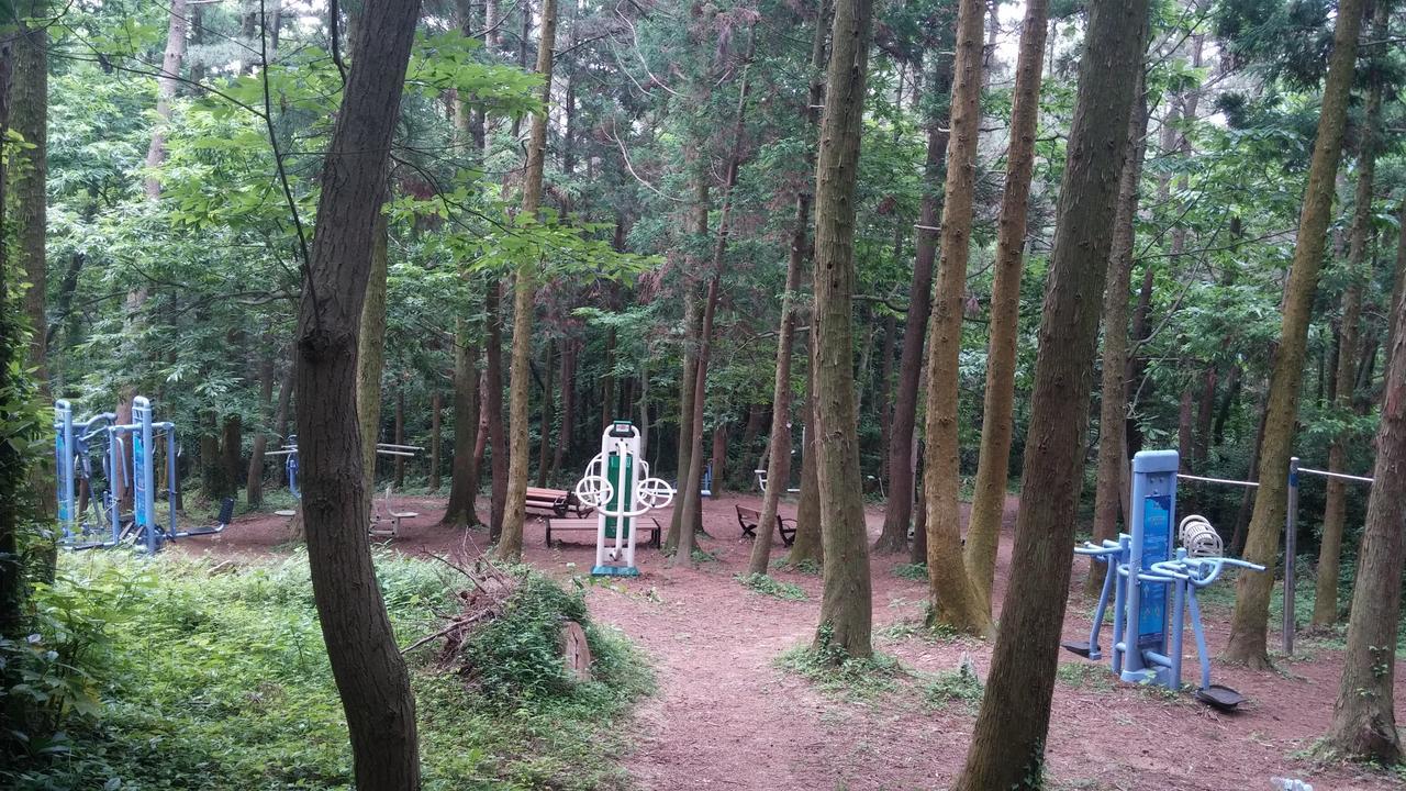 Blue Island Guesthouse Seogwipo Exterior foto